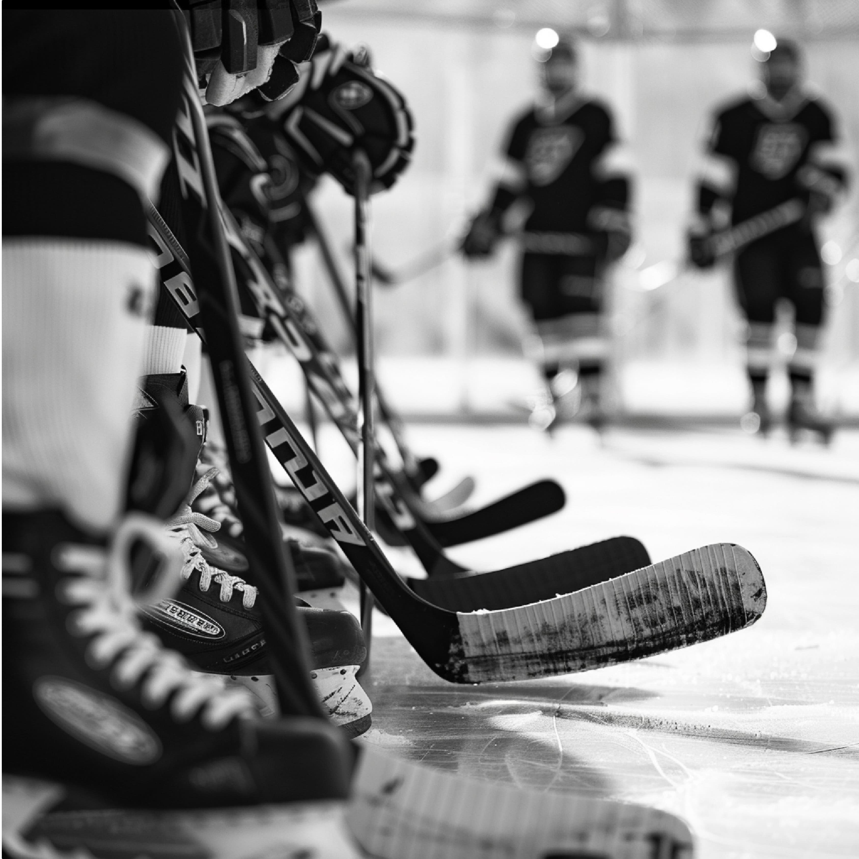 Sportovní akce, utkání a oslavy